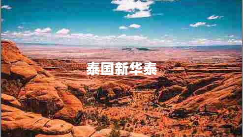 泰國(guó)新華泰 泰國(guó)新華泰