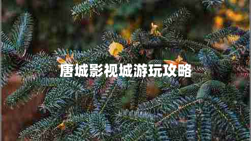 唐城影視城游玩攻略 唐城影視城游玩攻略