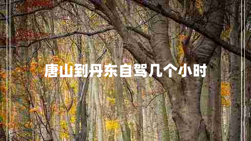 唐山到丹東自駕幾個(gè)小時(shí)