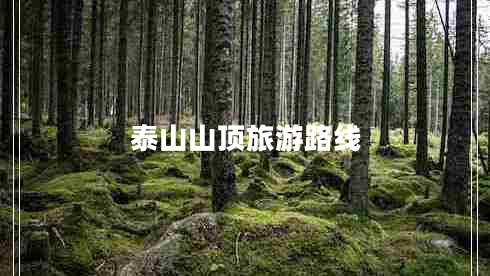 泰山山頂旅游路線