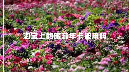 淘寶上的旅游年卡能用嗎