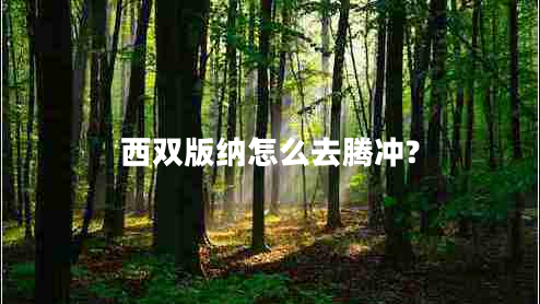 西雙版納怎么去騰沖?