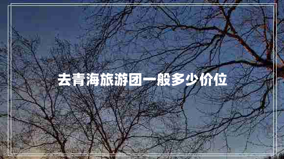 去青海旅游團(tuán)一般多少價(jià)位