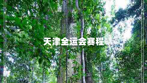 天津全運會賽程