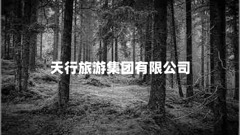 天行旅游集團有限公司