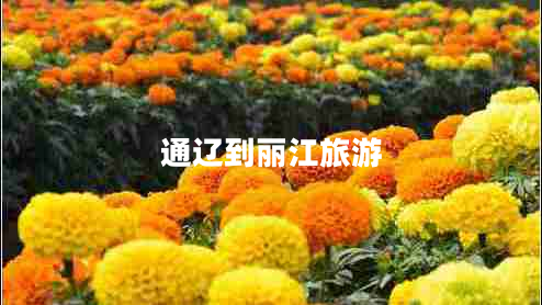 通遼到麗江旅游