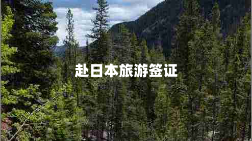 赴日本旅游簽證