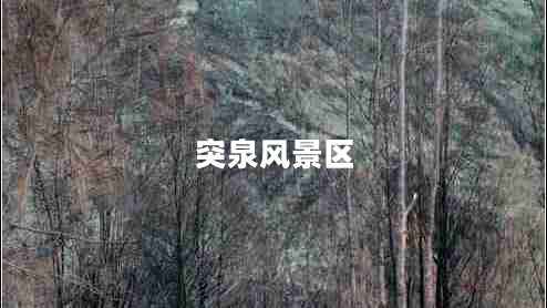 突泉風景區(qū)