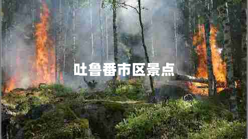 吐魯番市區(qū)景點(diǎn)