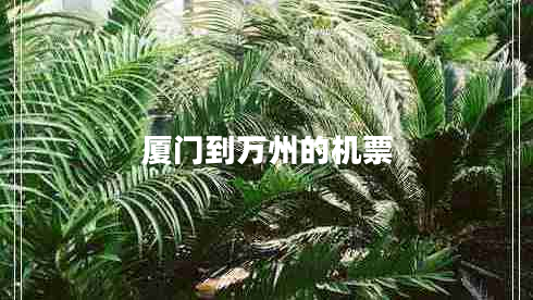 廈門到萬州的機票