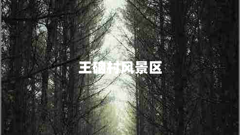 王硇村風景區(qū)