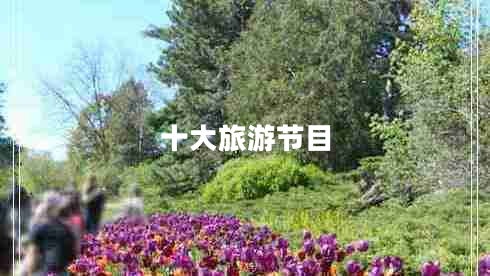 十大旅游節(jié)目 十大旅游節(jié)目