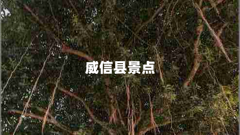 威信縣景點(diǎn)