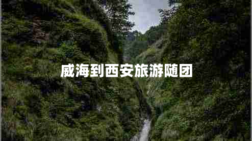 威海到西安旅游隨團