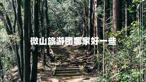 微山旅游團哪家好一些