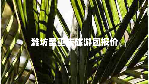 濰坊至重慶旅游團(tuán)報(bào)價(jià)