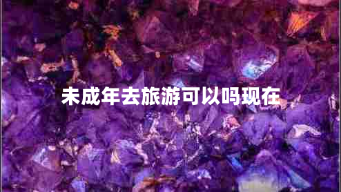 未成年去旅游可以嗎現(xiàn)在
