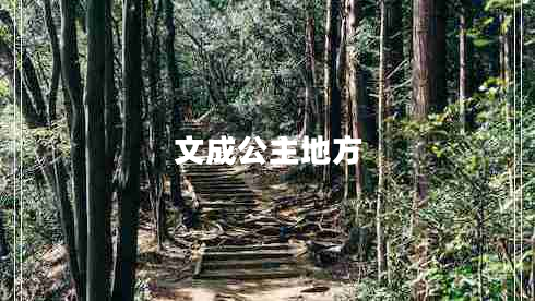 文成公主地方 文成公主地方