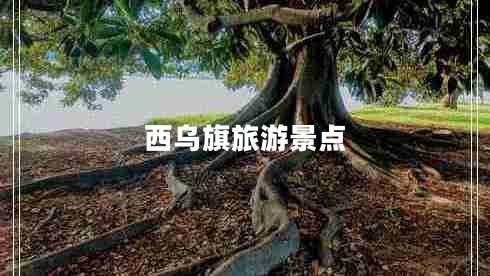 西烏旗旅游景點(diǎn)