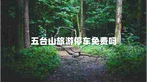 五臺(tái)山旅游停車(chē)免費(fèi)嗎