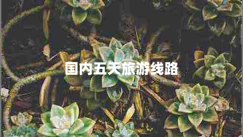 國(guó)內(nèi)五天旅游線路