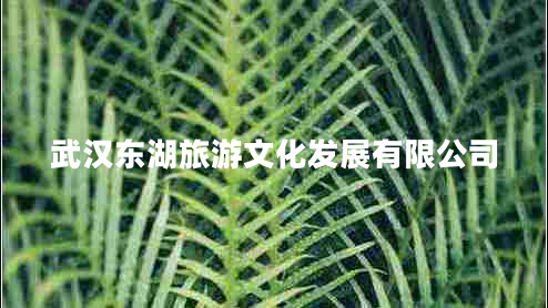 武漢東湖旅游文化發(fā)展有限公司