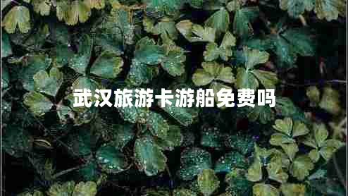 武漢旅游卡游船免費嗎 武漢旅游卡游船免費嗎