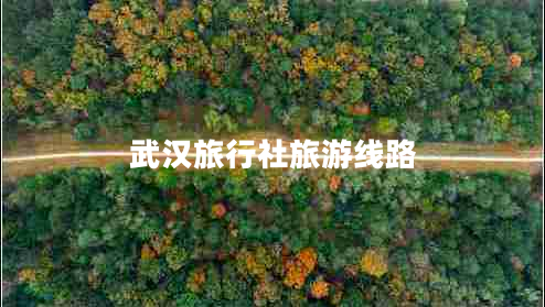 武漢旅行社旅游線路
