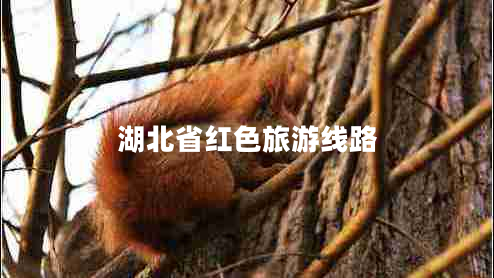 湖北省紅色旅游線路