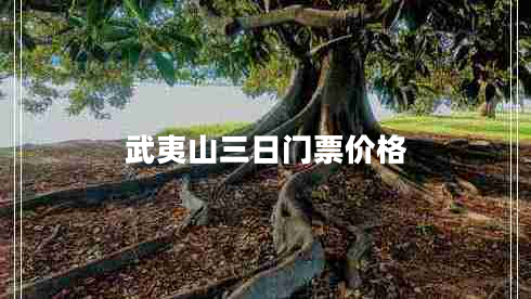 武夷山三日門票價格