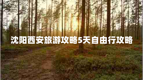 沈陽(yáng)西安旅游攻略5天自由行攻略