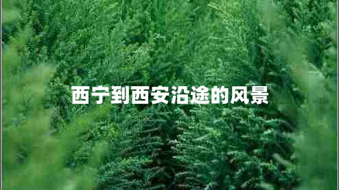 西寧到西安沿途的風景