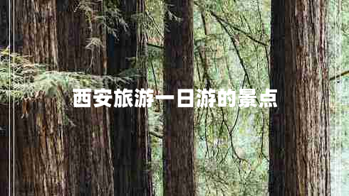 西安旅游一日游的景點(diǎn)