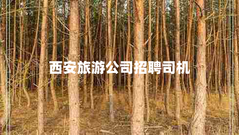西安旅游公司招聘司機