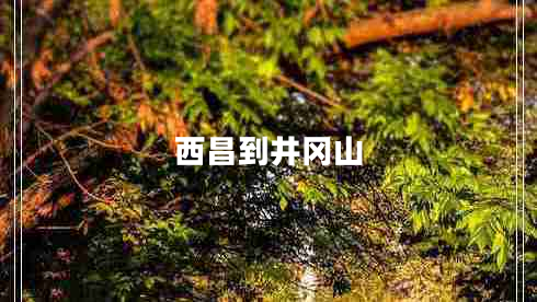 西昌到井岡山 西昌到井岡山