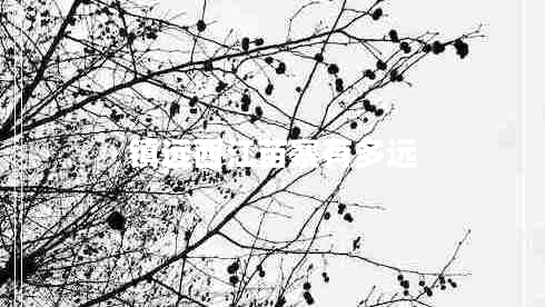 鎮(zhèn)遠西江苗寨有多遠