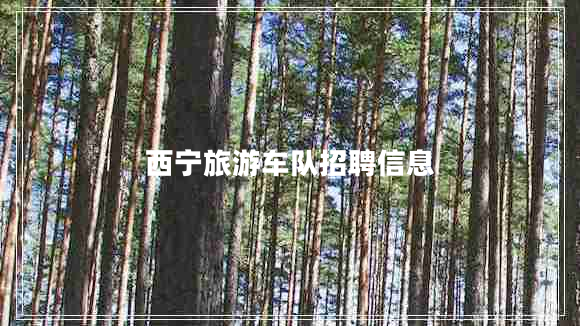 西寧旅游車隊招聘信息