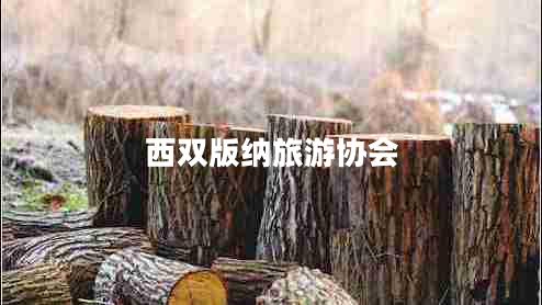 西雙版納旅游協(xié)會