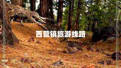 西營鎮(zhèn)旅游線路 西營鎮(zhèn)旅游線路