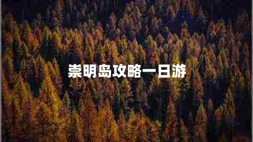 崇明島攻略一日游