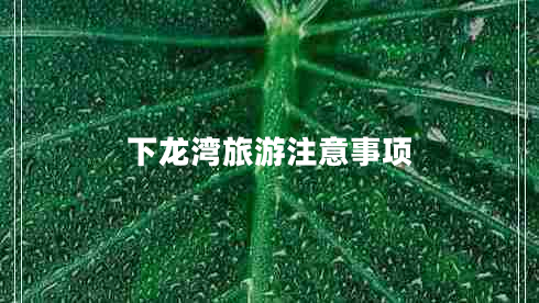 下龍灣旅游注意事項