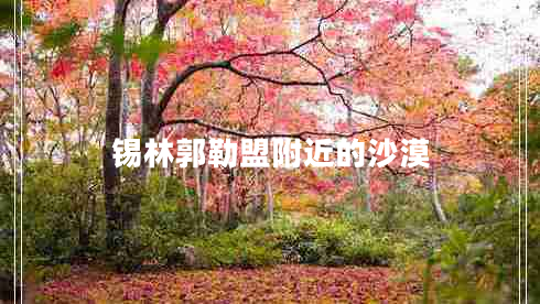 錫林郭勒盟附近的沙漠