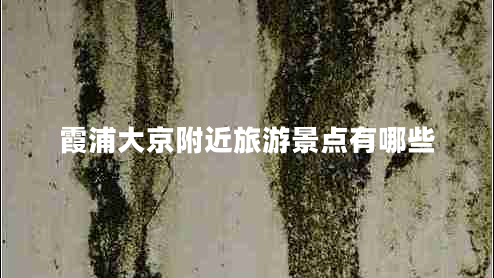 霞浦大京附近旅游景點有哪些