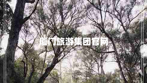 廈門旅游集團(tuán)官網(wǎng)