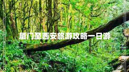 廈門(mén)至西安旅游攻略一日游