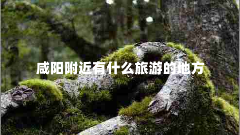 咸陽附近有什么旅游的地方