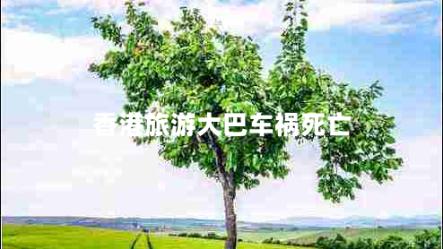 香港旅游大巴車禍死亡 香港旅游大巴車禍死亡