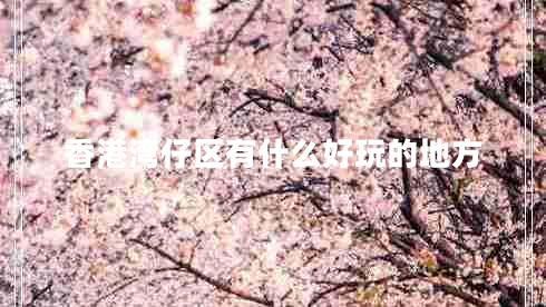 香港灣仔區(qū)有什么好玩的地方 香港灣仔區(qū)有什么好玩的地方