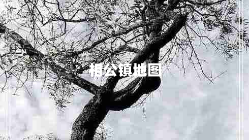 相公鎮(zhèn)地圖