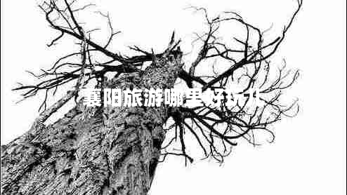 襄陽旅游哪里好玩兒